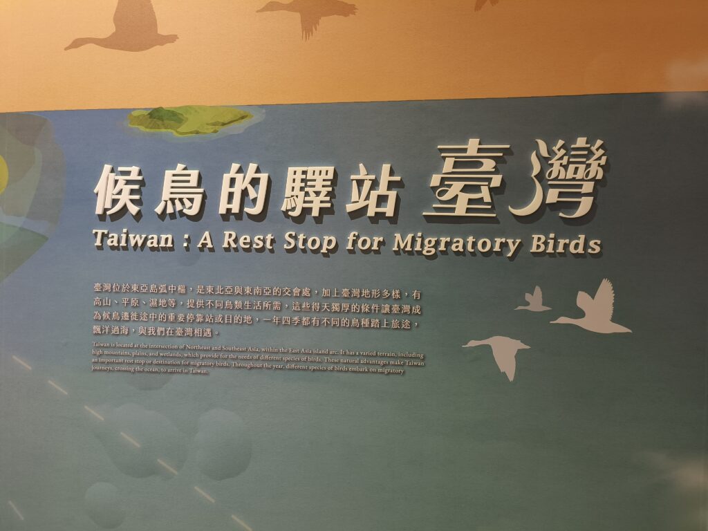 候鳥的驛站臺灣