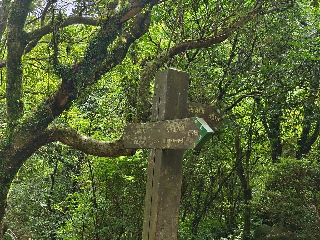 「台北大縱走第二段」+「台北大縱走第三段」一次走完 23 公里 - 第11張圖 台北大縱走第二段第三段
