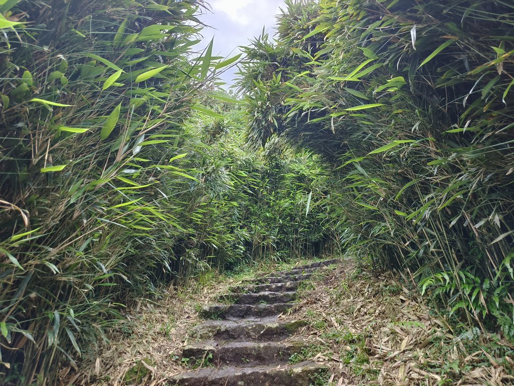 「台北大縱走第二段」+「台北大縱走第三段」一次走完 23 公里 - 第16張圖 台北大縱走第二段第三段