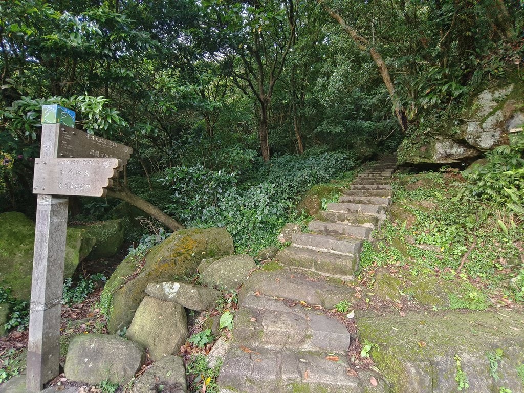「台北大縱走第二段」+「台北大縱走第三段」一次走完 23 公里 - 第64張圖 台北大縱走第二段第三段