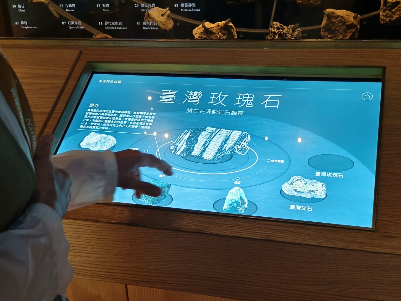 臺灣博物館|常設展|博物臺灣|自然·臺灣|浮生·臺灣|礦物、生物、人文、歷史通通有| - 第4張圖