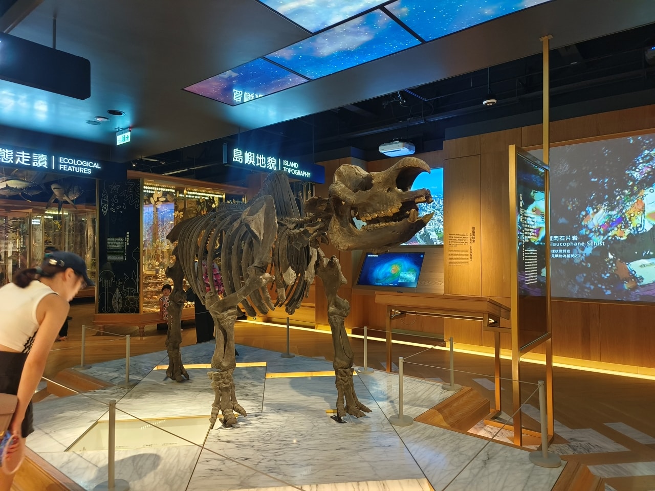 臺灣博物館|常設展|博物臺灣|自然·臺灣|浮生·臺灣|礦物、生物、人文、歷史通通有| - 第10張圖
