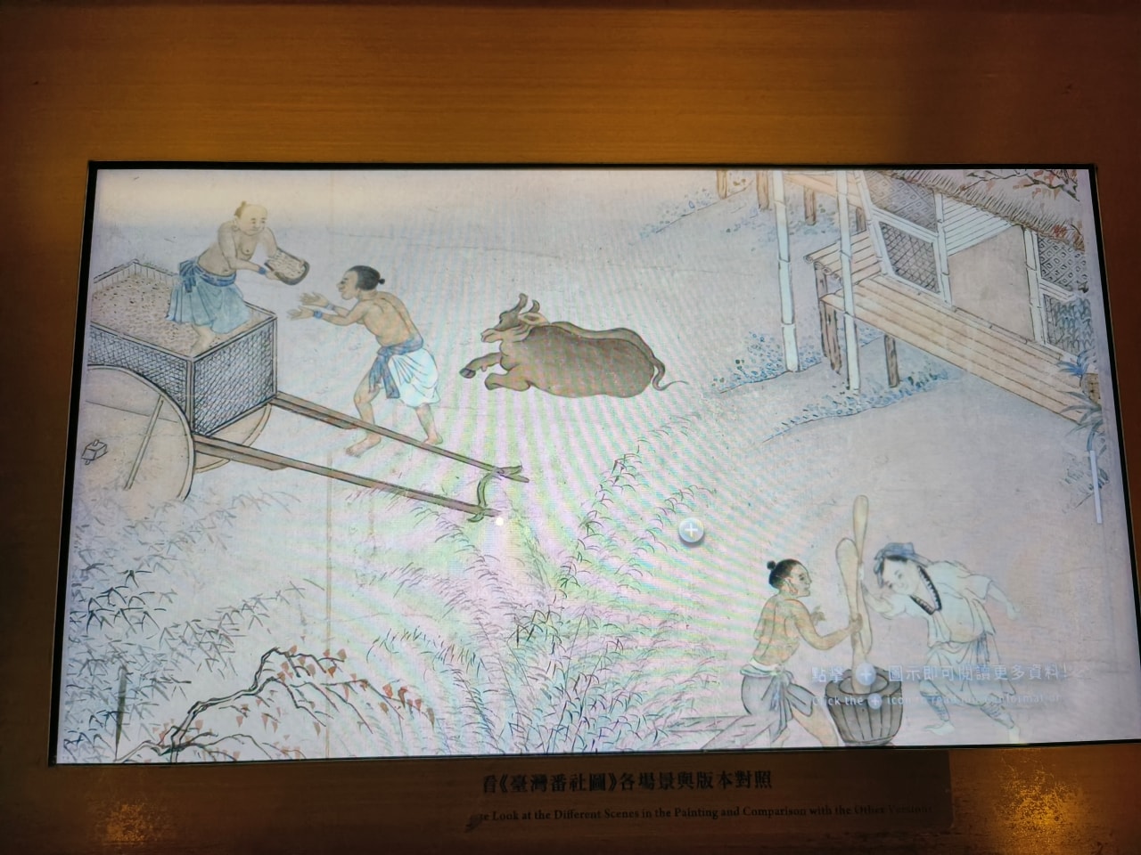 臺灣博物館|常設展|博物臺灣|自然·臺灣|浮生·臺灣|礦物、生物、人文、歷史通通有| - 第40張圖