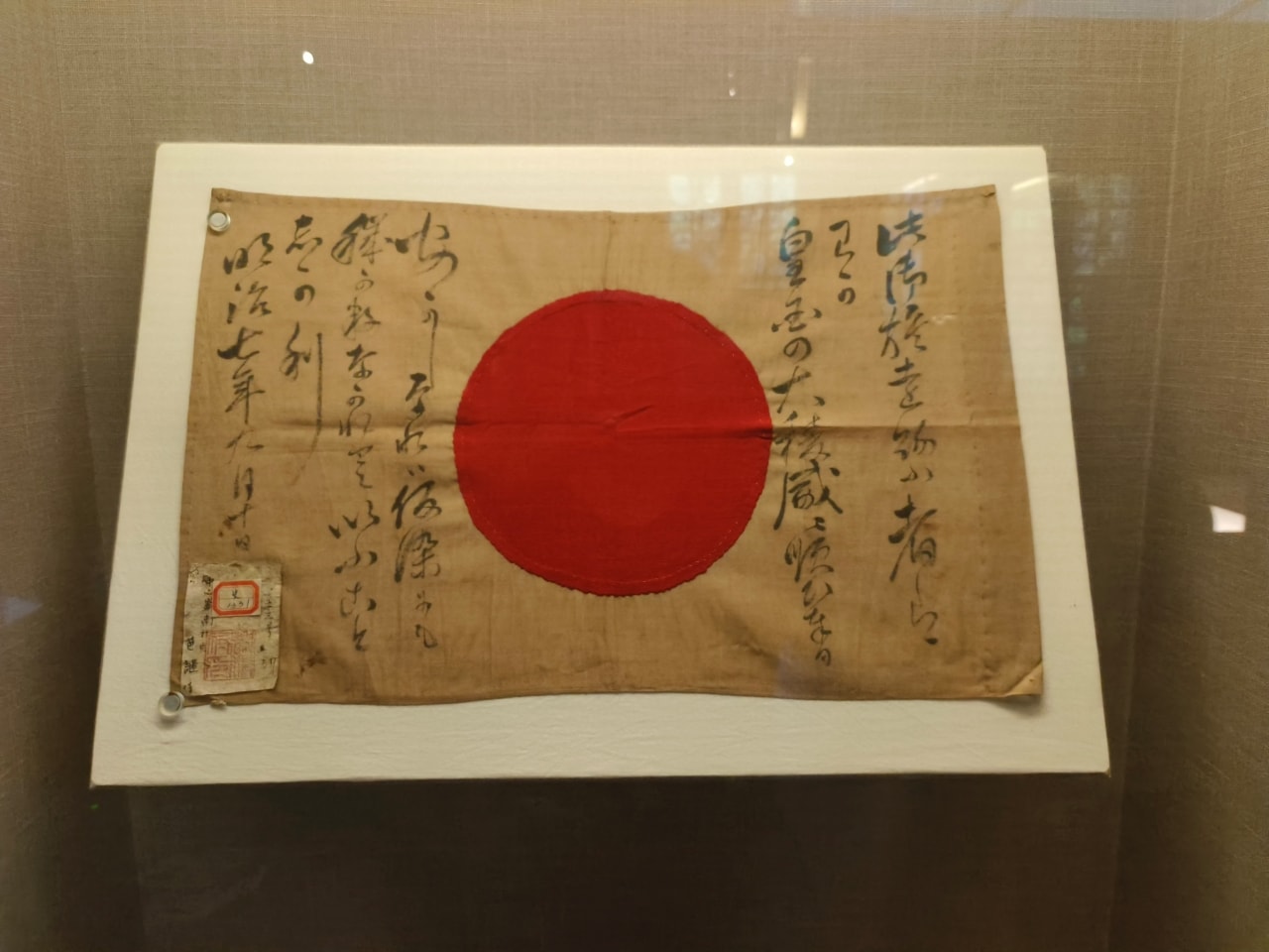 臺灣博物館|常設展|博物臺灣|自然·臺灣|浮生·臺灣|礦物、生物、人文、歷史通通有| - 第44張圖