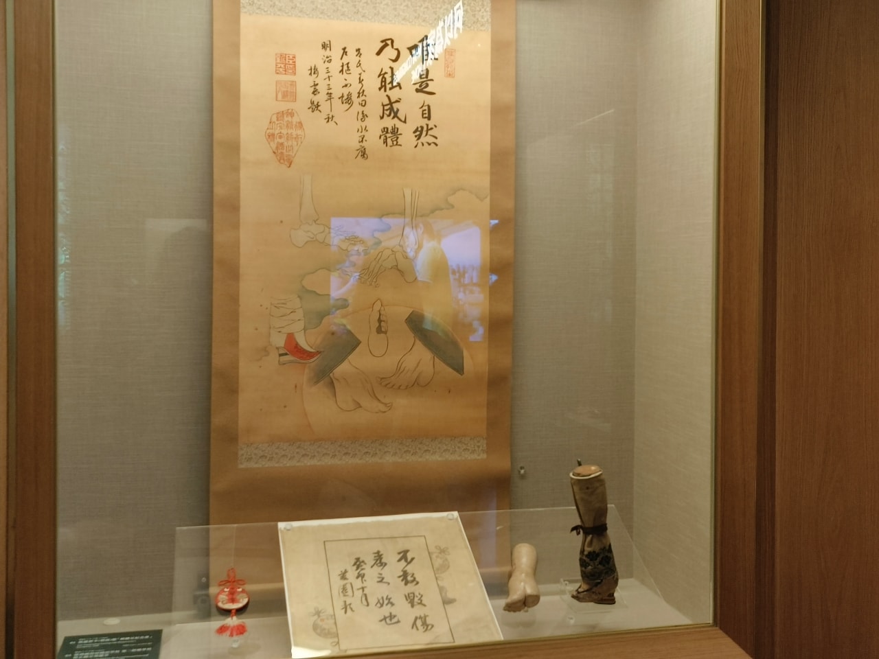 臺灣博物館|常設展|博物臺灣|自然·臺灣|浮生·臺灣|礦物、生物、人文、歷史通通有| - 第52張圖