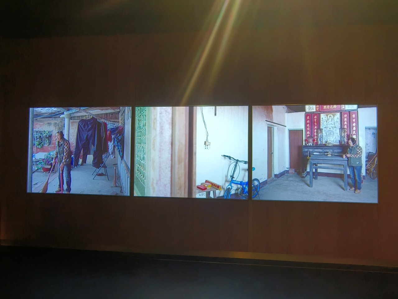臺灣博物館|常設展|博物臺灣|自然·臺灣|浮生·臺灣|礦物、生物、人文、歷史通通有| - 第56張圖