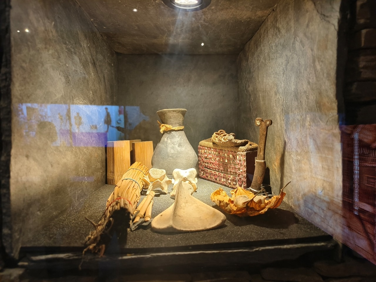 臺灣博物館|常設展|博物臺灣|自然·臺灣|浮生·臺灣|礦物、生物、人文、歷史通通有| - 第59張圖
