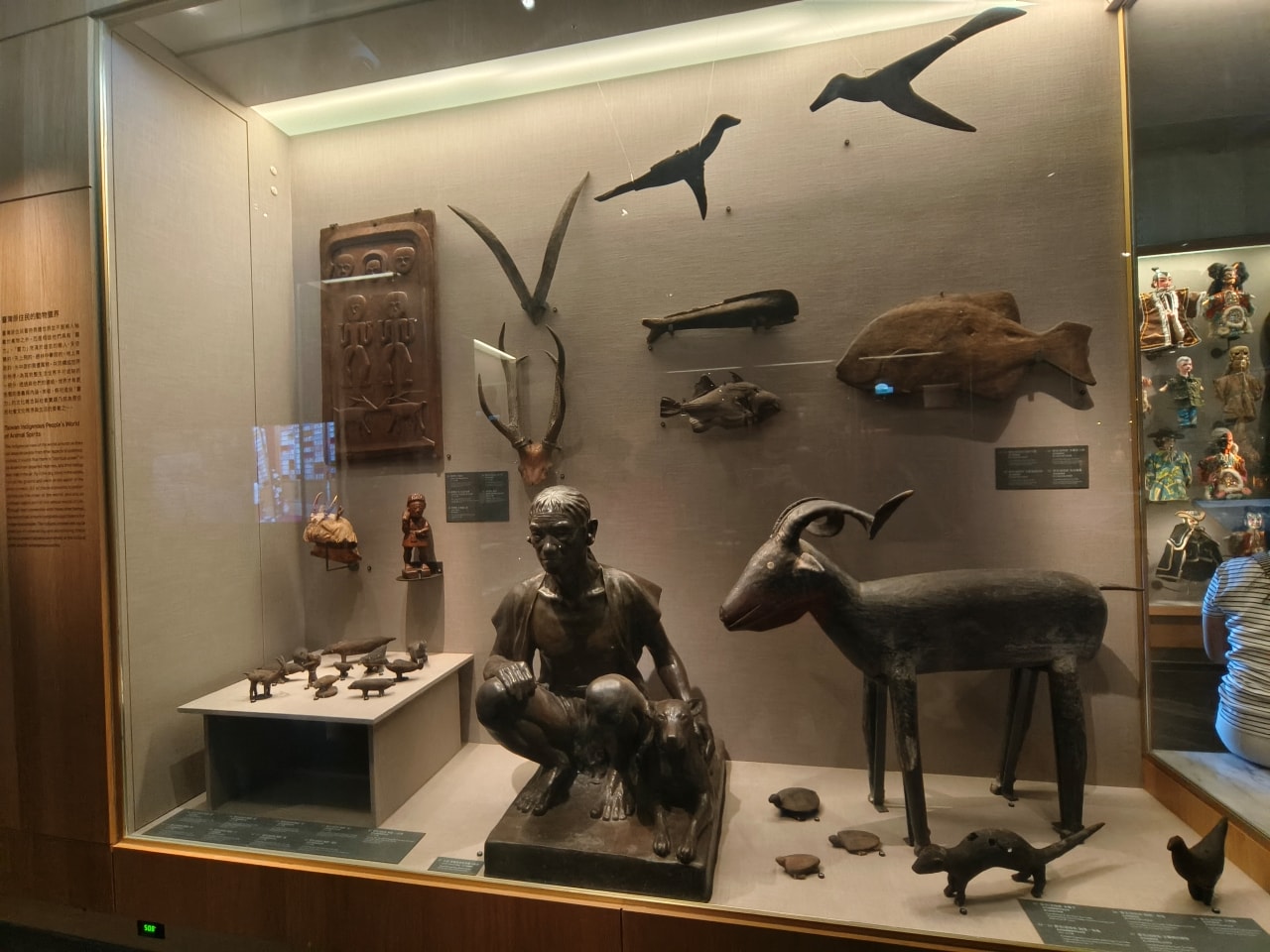 臺灣博物館|常設展|博物臺灣|自然·臺灣|浮生·臺灣|礦物、生物、人文、歷史通通有| - 第60張圖