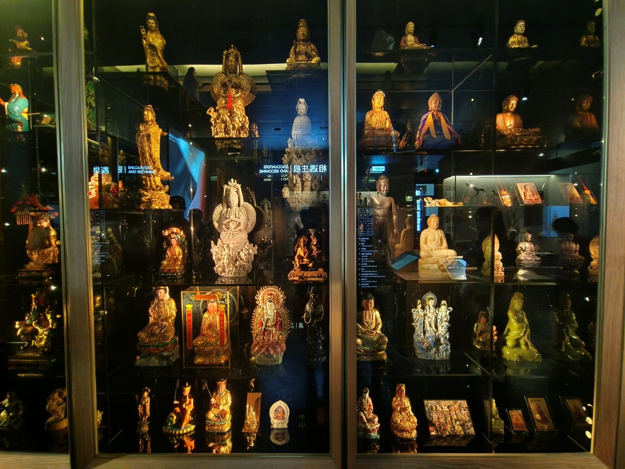 臺灣博物館|常設展|博物臺灣|自然·臺灣|浮生·臺灣|礦物、生物、人文、歷史通通有| - 第64張圖