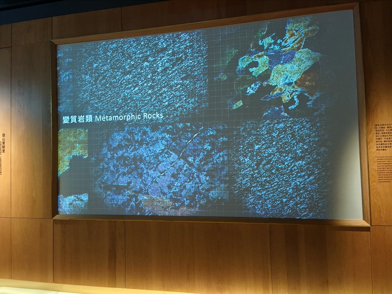 臺灣博物館|常設展|博物臺灣|自然·臺灣|浮生·臺灣|礦物、生物、人文、歷史通通有| - 第7張圖