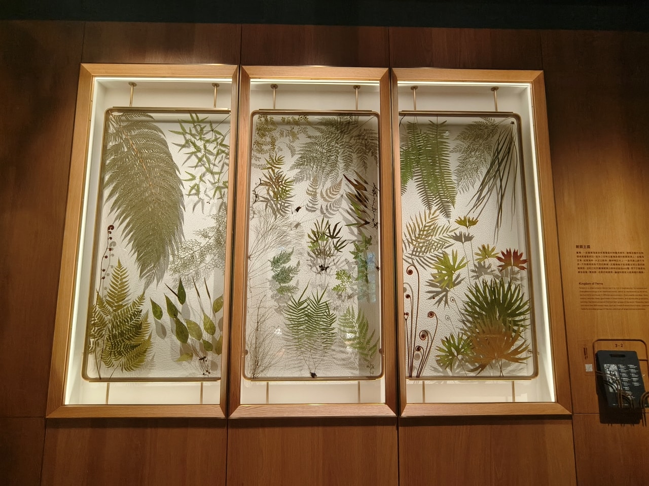 臺灣博物館|常設展|博物臺灣|自然·臺灣|浮生·臺灣|礦物、生物、人文、歷史通通有| - 第17張圖