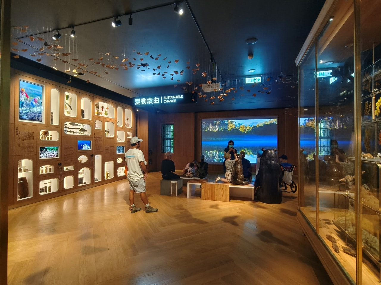 臺灣博物館|常設展|博物臺灣|自然·臺灣|浮生·臺灣|礦物、生物、人文、歷史通通有| - 第31張圖