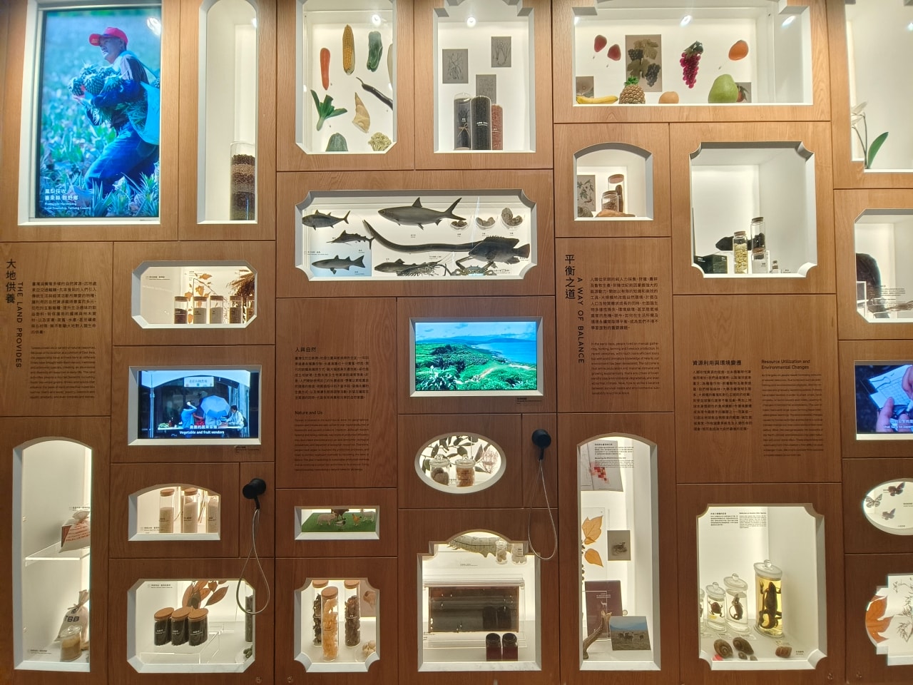 臺灣博物館|常設展|博物臺灣|自然·臺灣|浮生·臺灣|礦物、生物、人文、歷史通通有| - 第30張圖