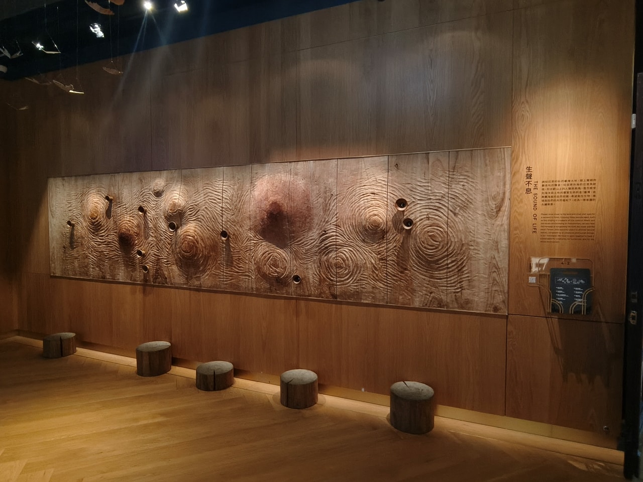 臺灣博物館|常設展|博物臺灣|自然·臺灣|浮生·臺灣|礦物、生物、人文、歷史通通有| - 第32張圖