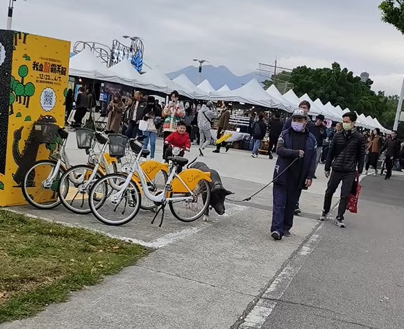 「台北大縱走第一段」+「台北大縱走第八段」一天兩鐵尬起來 - 第30張圖