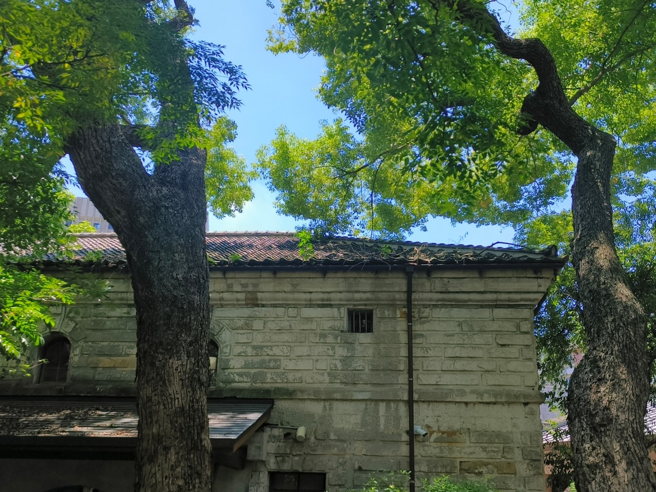 只要20元|台灣博物館|南門館|南門館歷史與建築|認識臺灣樟腦重鎮|紅樓|小白宮 - 第14張圖