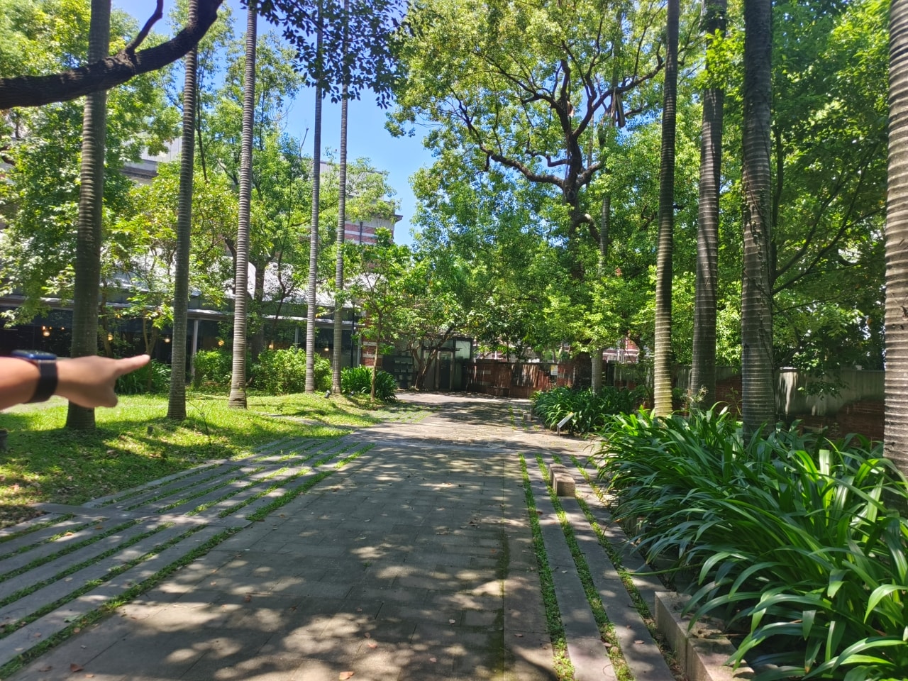 只要20元|台灣博物館|南門館|南門館歷史與建築|認識臺灣樟腦重鎮|紅樓|小白宮 - 第30張圖
