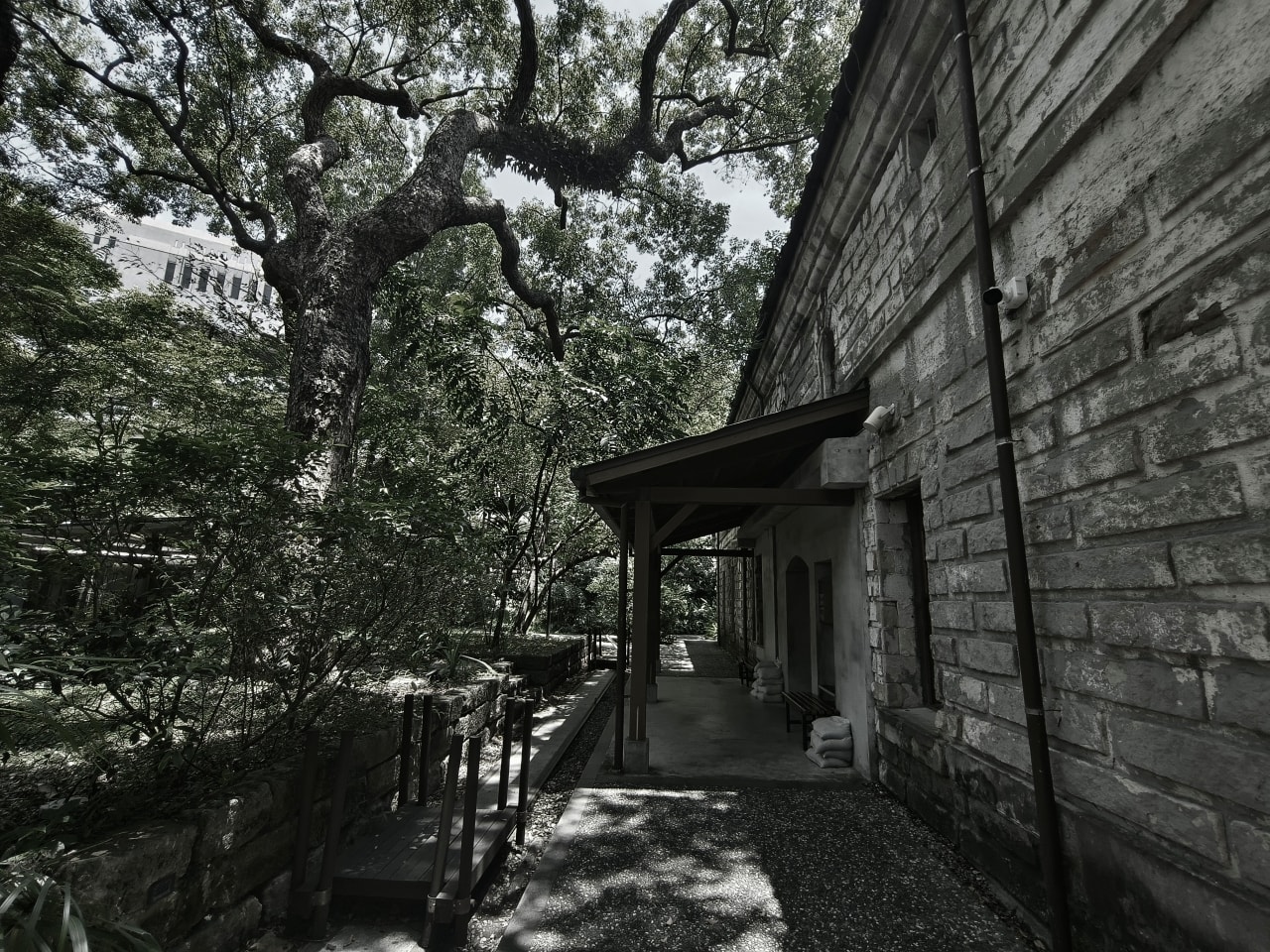 只要20元|台灣博物館|南門館|南門館歷史與建築|認識臺灣樟腦重鎮|紅樓|小白宮 - 第11張圖