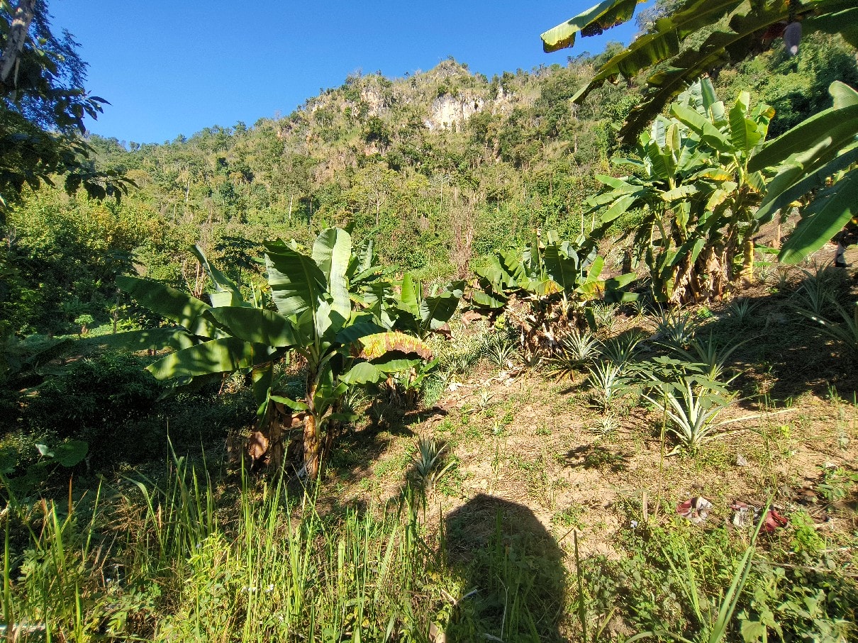 寮國旅遊,10 個你要注意的事情。寮國旅遊危險嗎?寮國旅遊安全嗎 - 第4張圖