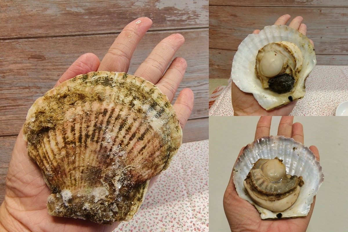 【魚有王 x 姐夫嚴選】-50 度 c 的美味開箱|海洋與餐桌零距離 - 第2張圖