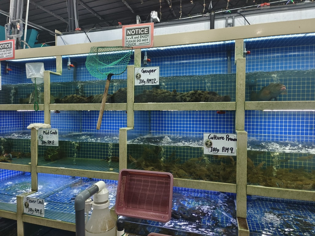 Top13 沙巴美食全攻略:亞庇餐廳/小吃/市集 - 第28張圖 KK GARDEN SEAFOOD RESTAURANT 海鮮餐廳 (2)