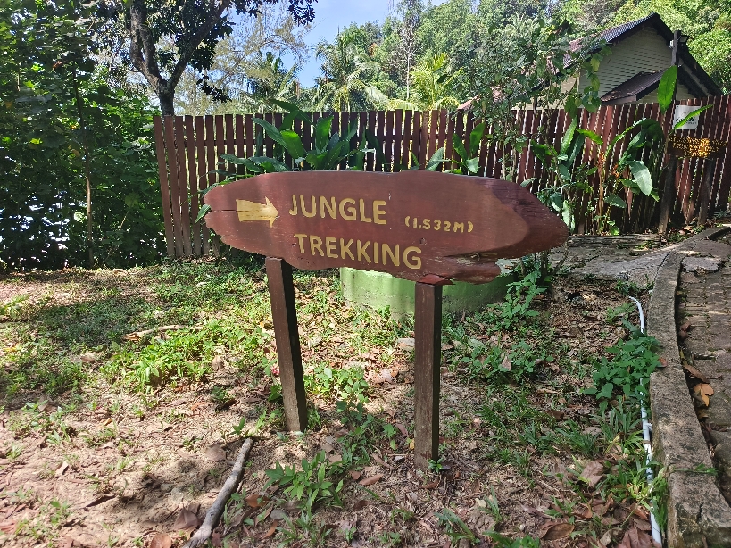 沙巴跳島一日遊:費用/交通 - 第13張圖 沙巴跳島馬努干路線不會很長