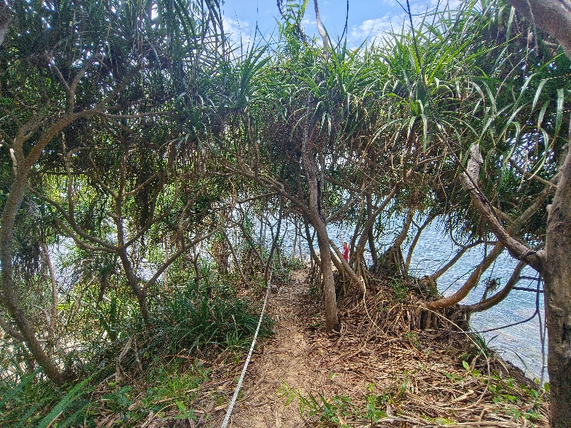沙巴跳島一日遊:費用/交通 - 第16張圖 我是從這邊上來的