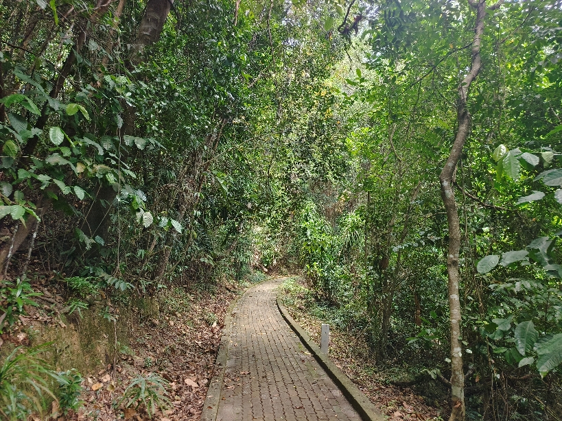 沙巴跳島一日遊:費用/交通 - 第20張圖 回程旅遊路線