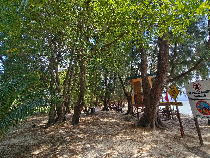 沙巴跳島一日遊:費用/交通 - 第21張圖 回來泡水了