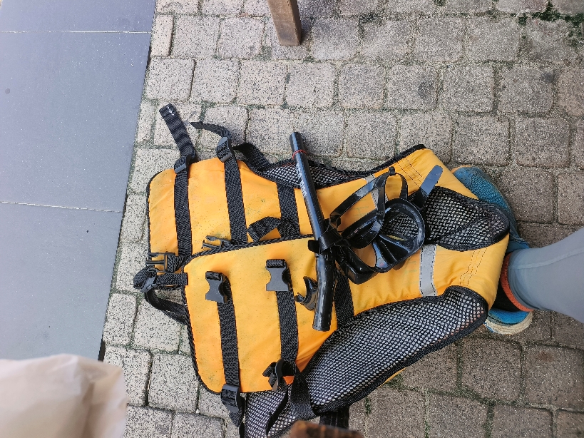 沙巴跳島一日遊:費用/交通 - 第8張圖 沙巴跳島救生衣+面鏡